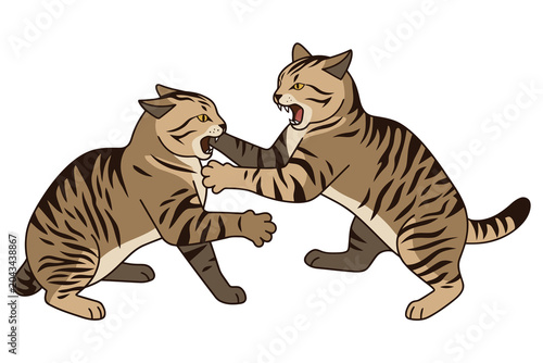 Canvas Print Two Aggressive Tabby Cats Fighting And Hissing Side View - Animal Illustration I