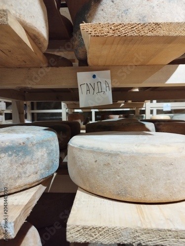 Artisanal Gouda cheese wheels aging on wooden shelves in a cellar