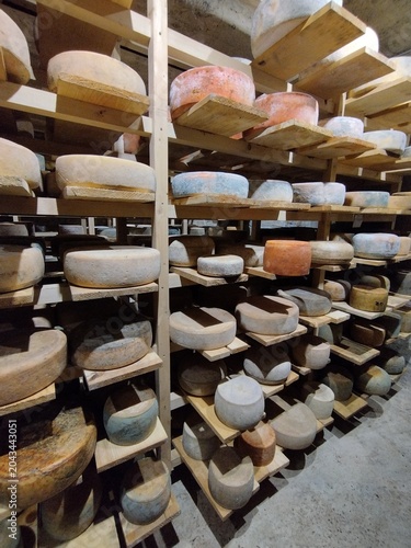Craft cheese wheels stored for aging and fermentation inside a cellar