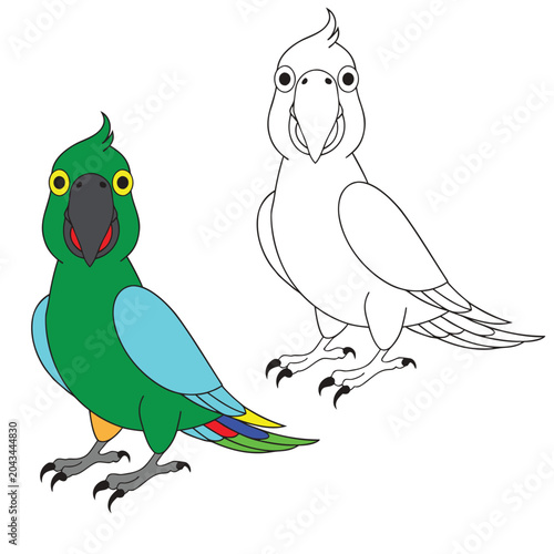 coloring book for kid parrot vector 