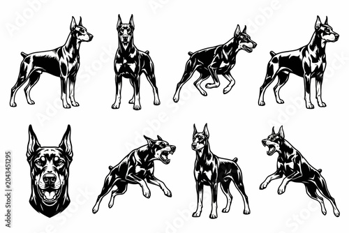Bild auf Leinwand Doberman Dog Illustrations Set in Various Poses and Actions