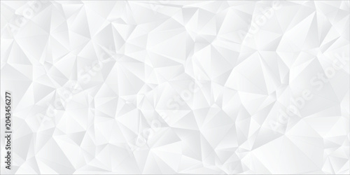 Tableau sur toile Abstract White Polygon Relief Featuring Minimalist Geometry stylish illustration