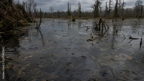 murky. Murky swamp with rising bubbles and decaying plant matter floating on dark water. ESG reports, sustainability campaigns, designed for environmental awareness campaigns, used by teachers.