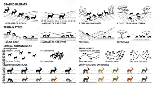 Photography Animal Grazing Habitats and Spatial Arrangement Infographic