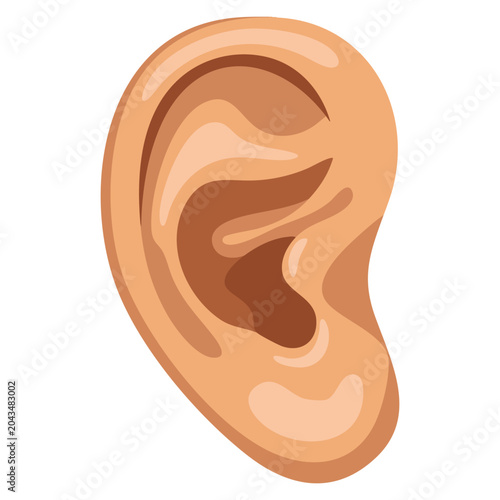 Schilderij op canvas Realistic human ear vector illustration isolated on white background