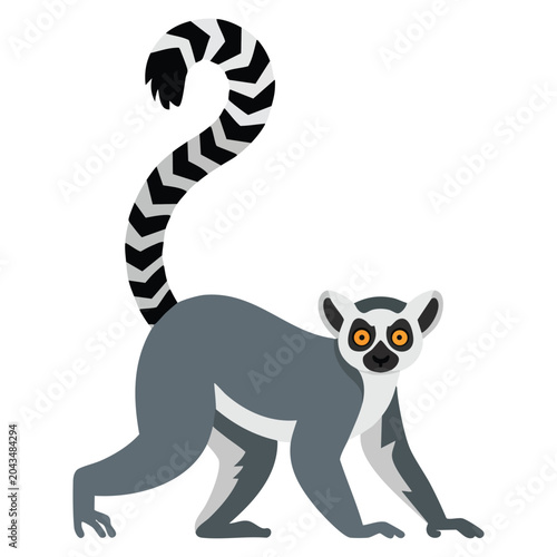 Ring Tailed Lemur Lemur catta african native animal side angle view vector illustration in flat style isolated on white background for safari designs.