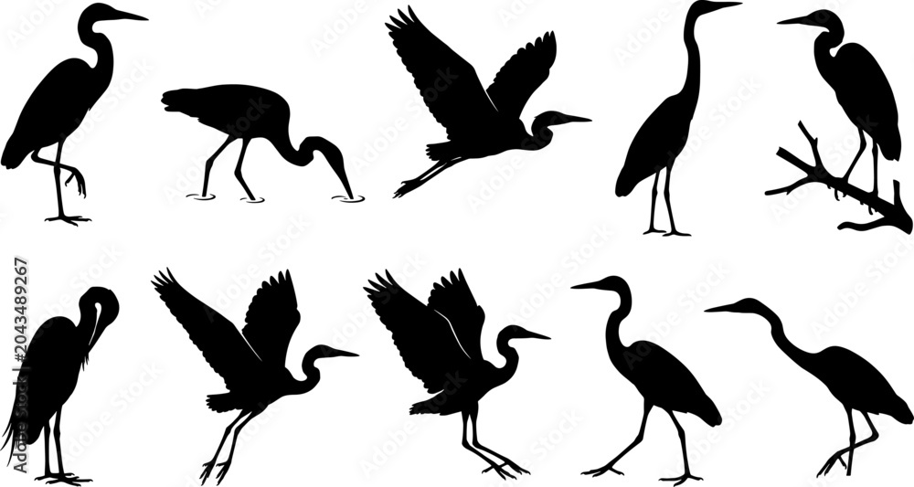 Obraz premium Bundle of heron silhouettes perched on branches and flying in a set