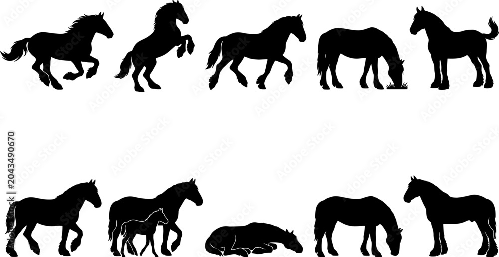 Fototapeta premium Draft horse silhouette collection set showing heavy horses running rearing and grazing