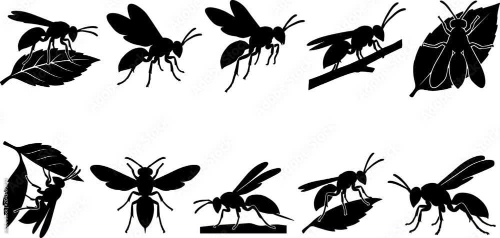 Fototapeta premium Flying wasp silhouette collection set displaying various wing positions and body angles