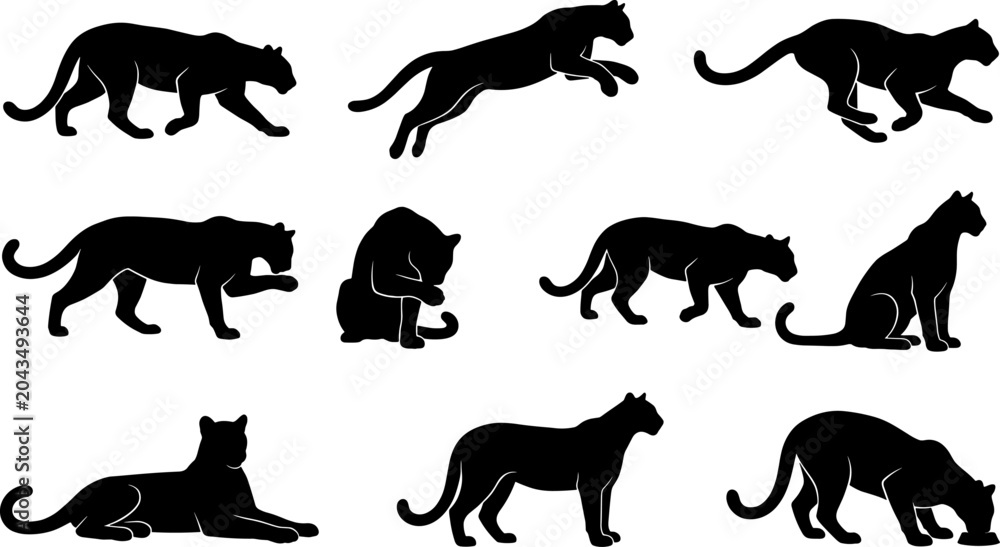 Obraz premium Puma cougar silhouette collection showing mountain lions walking jumping and sitting for wildlife branding