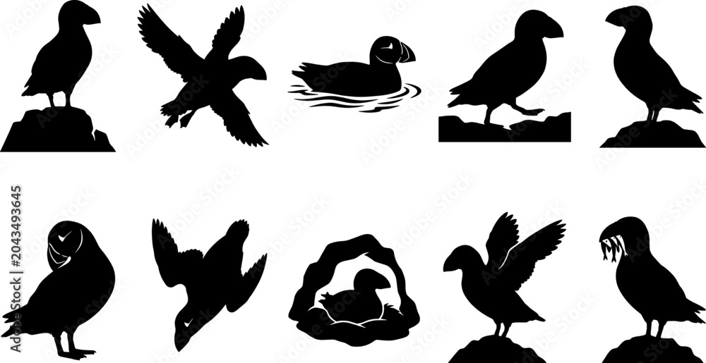 Obraz premium Puffin bird silhouette pack set featuring sea birds standing flying and swimming
