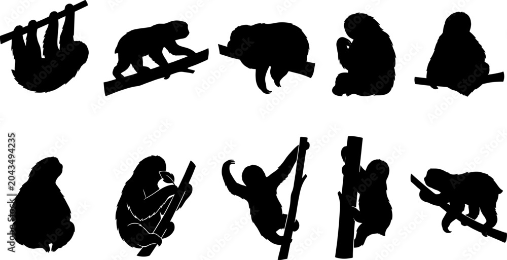 Obraz premium Sloth animal silhouette bundle featuring slow moving arboreal mammals hanging from tropical tree branches