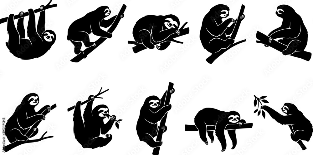 Obraz premium Slow sloth silhouette pack showing mammals hanging from branches and sleeping in tropical trees