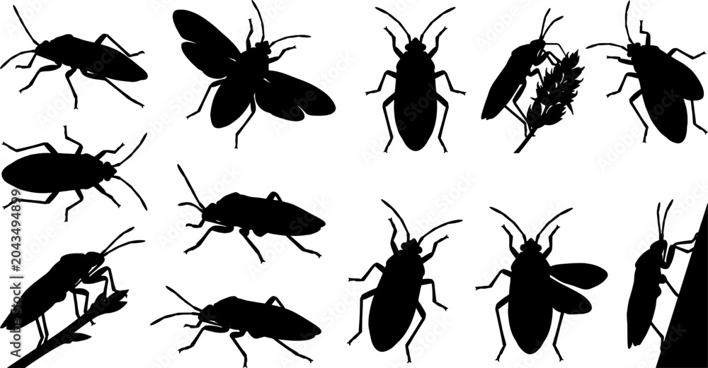 Fototapeta premium Variety pack of broad-headed bug silhouettes featuring alydidae species in different poses