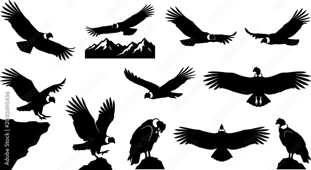 Obraz premium Andean condor silhouette collection bundle set featuring large birds soaring over mountain ranges
