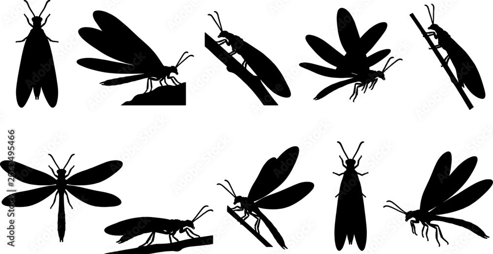 Fototapeta premium Alderfly and dobsonfly insect silhouette variety bundle for aquatic nature guides