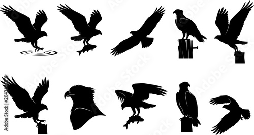 Fishing eagle silhouette bundle collection set displaying birds catching and carrying fish from water