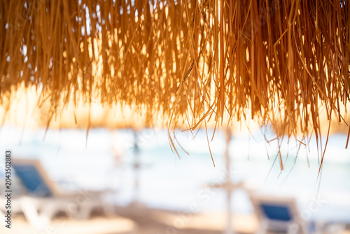 Schilderij op canvas Close view of a straw beach umbrella in Sharm El Sheikh Egypt with Red Sea coastline and blurred sunbeds in the background