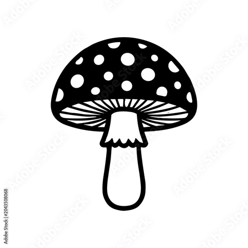 Billede på lærred Black and white fly agaric mushroom.