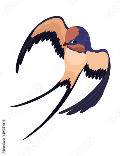 Cuadro en lienzo Swallow or Martin Passerine Bird with Long Tail and Pointed Wings