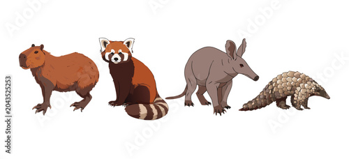 Fotografie Exotic Mammals Capybara Red Panda and Aardvark Vector Set
