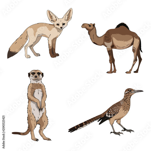 Tableau sur toile Desert Wildlife Fennec Fox Camel and Meerkat Vector Set
