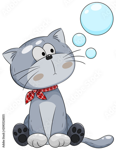 The gray cat sat watching the bubbles.