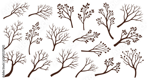 Set of bare tree branches and twigs, natural elements for design.
