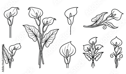 Foto Arum lily drawing icon vector set with elegant floral outline illustrations