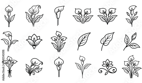 Foto Arum lily outline icon collection with botanical flower vector drawings