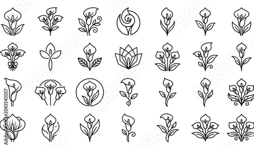 Foto Minimal arum lily drawing icon set with floral line art vector illustration