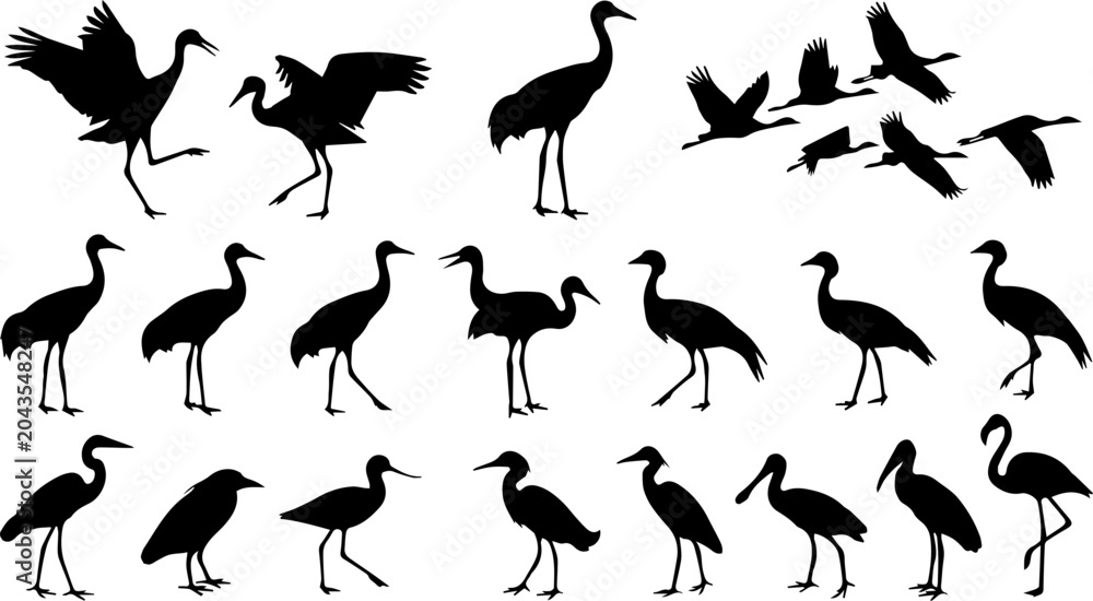 Naklejka premium Crane Heron Bird Black Silhouette Set Vector Wildlife Nature Illustration Clipart