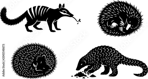 Foto Aardvark Armadillo Hedgehog Wildlife Black Silhouette Set Vector Animal Illustra