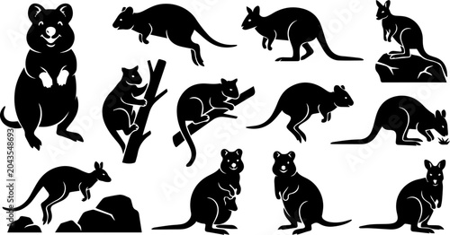Foto Australian Wildlife Kangaroo Wombat Black Silhouette Set Vector Nature Illustrat
