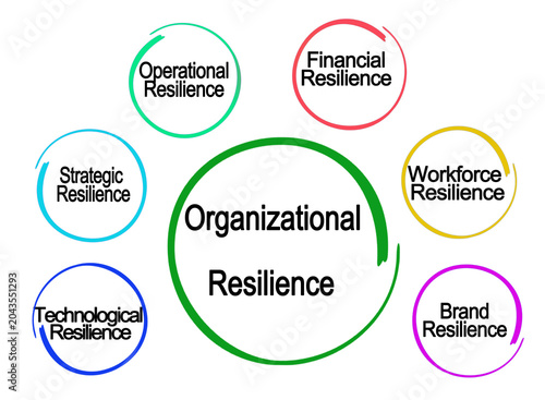 Six Components of Organizational Resilience