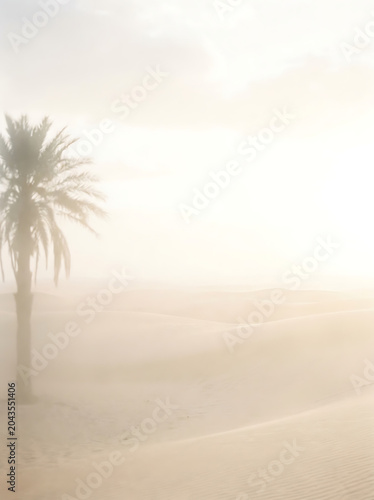 Lone Palm Tree Silhouette in Misty Desert Dunes at Sunrise