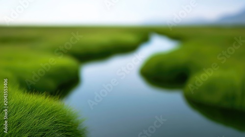 Soft focus wetland with winding water channel through lush green marsh