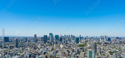 Panoramic Tokyo cityscape with Shibuya, Shinjuku and distant Ikebukuro under blue sky