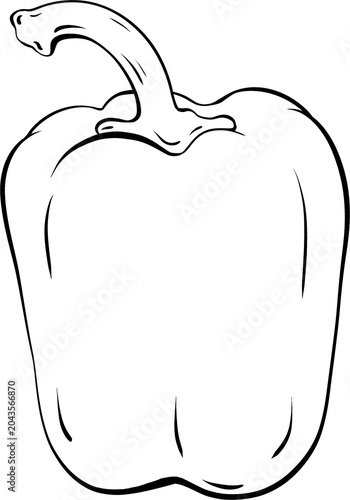 Green Bell Pepper