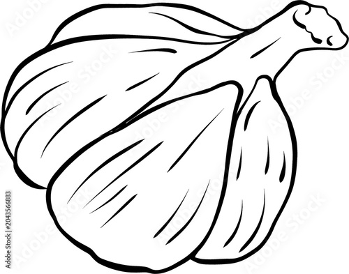 Fresh Whole Onion