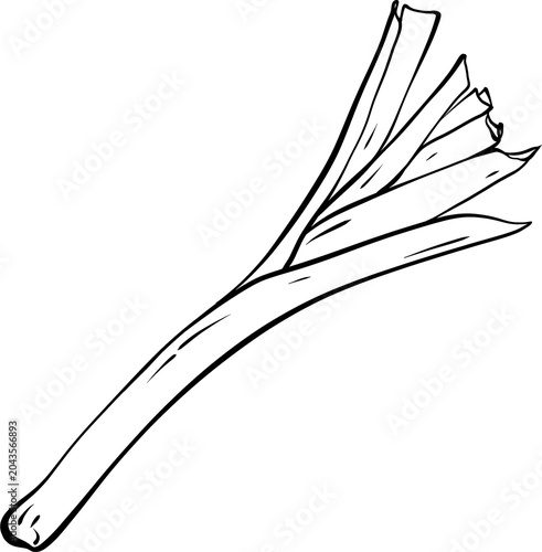 Fresh Green Leek