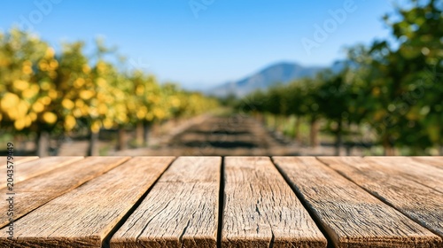 Empty rustic wooden table in front of a blurred citrus grove on a sunny day