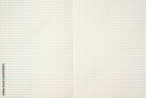 blank notebook sheet in a blue grid close up