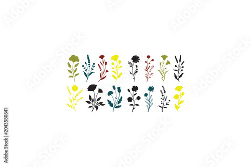 Floral set with colorful wild flowers and elegant branch vector various style image..eps