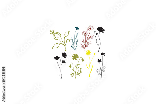 Colorful Wild flowers various style botanical foliage for wedding invitation vector image..eps