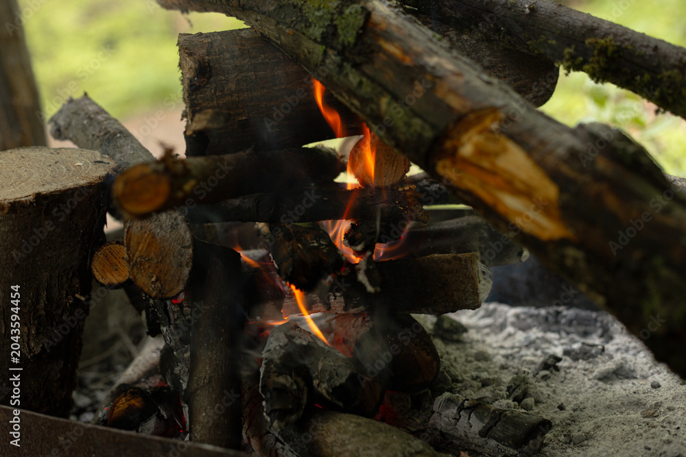 Fototapeta premium fire on the grill and branches