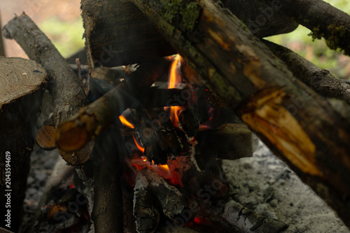 fire on the grill and branches