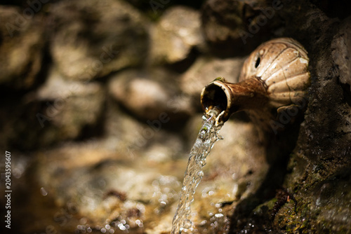 A waterfall in the forest flows from a jug.
