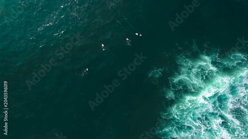 Aerial drone view of surfers, surfing paddling, duck diving, with beautiful blue collars and glass sea