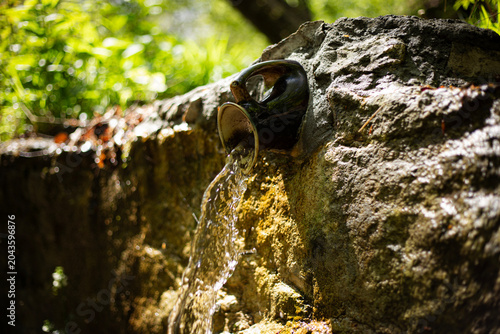A waterfall in the forest flows from a jug.